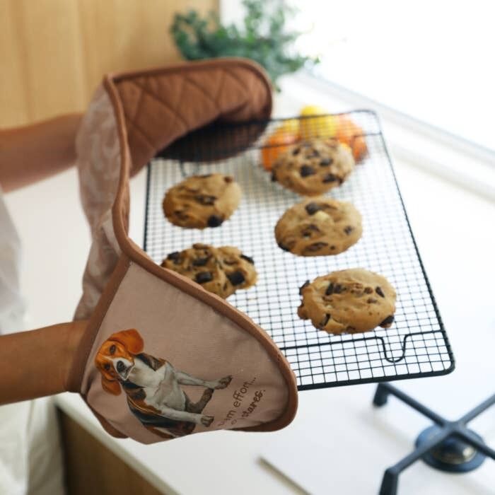 Splosh Cook's Companion - Beagle Double Oven Mitt