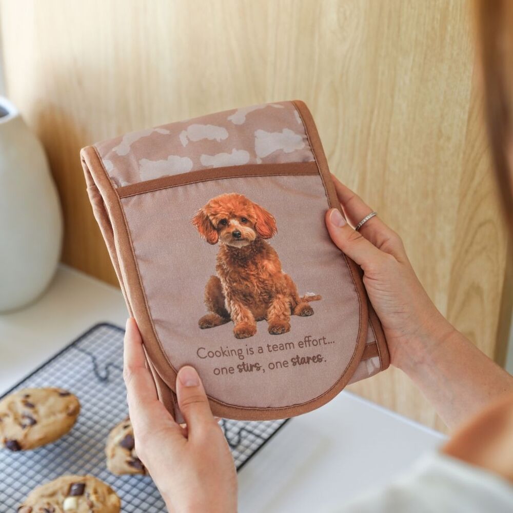Splosh Cook's Companion - Poodle Double Oven Mitt
