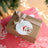 Splosh Christmas 2025 - Koala Keepsake