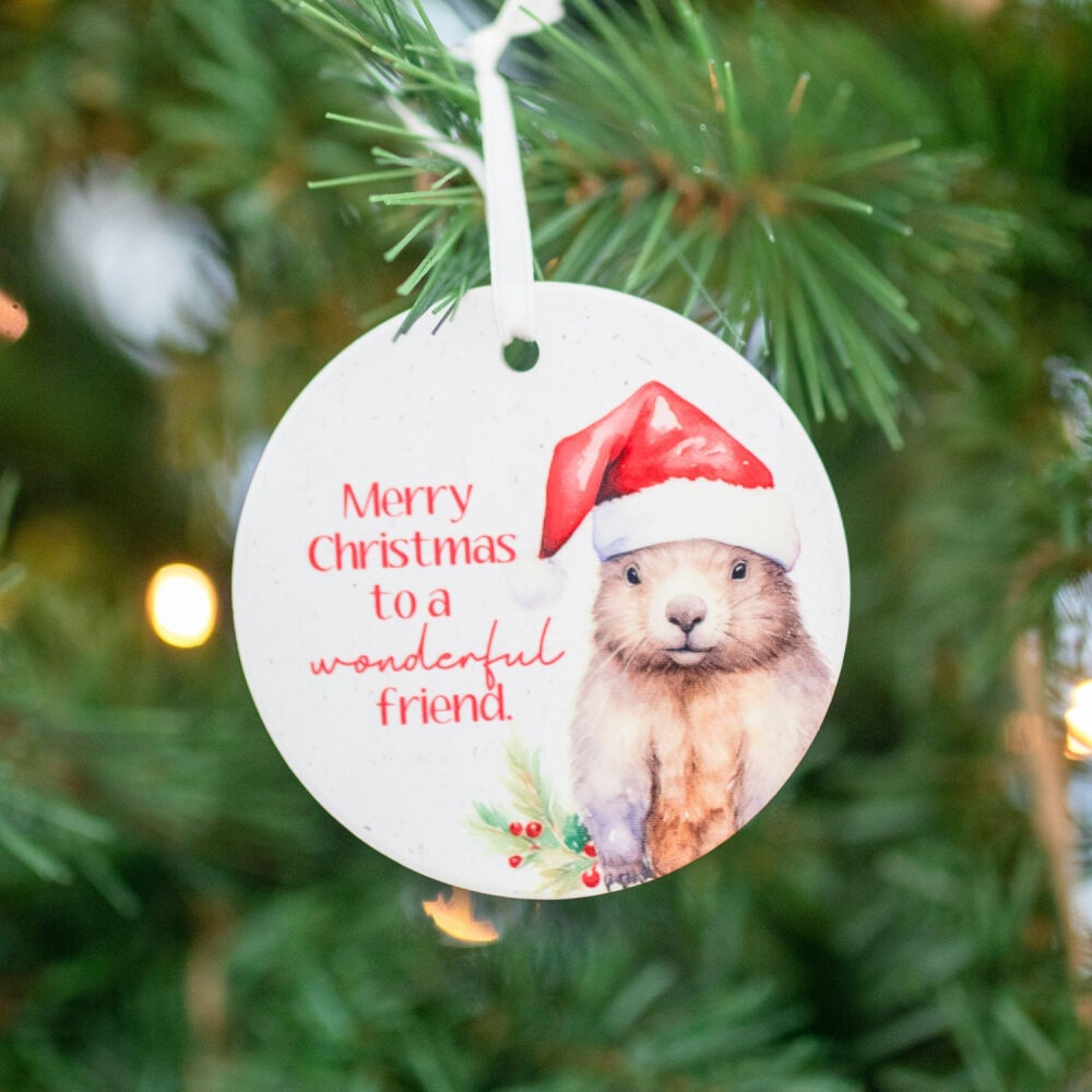 Splosh Christmas 2025 - Wombat Keepsake