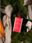 Ecoya Holiday Collection Festive Fragrance Duo - Guava and Lychee Sorbet