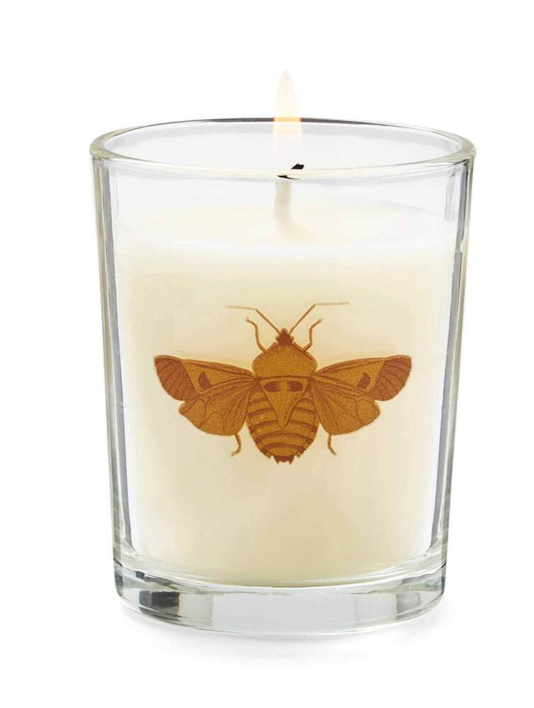 Spode Creatures Of Curiosity - Scented Candles (Set of 3)