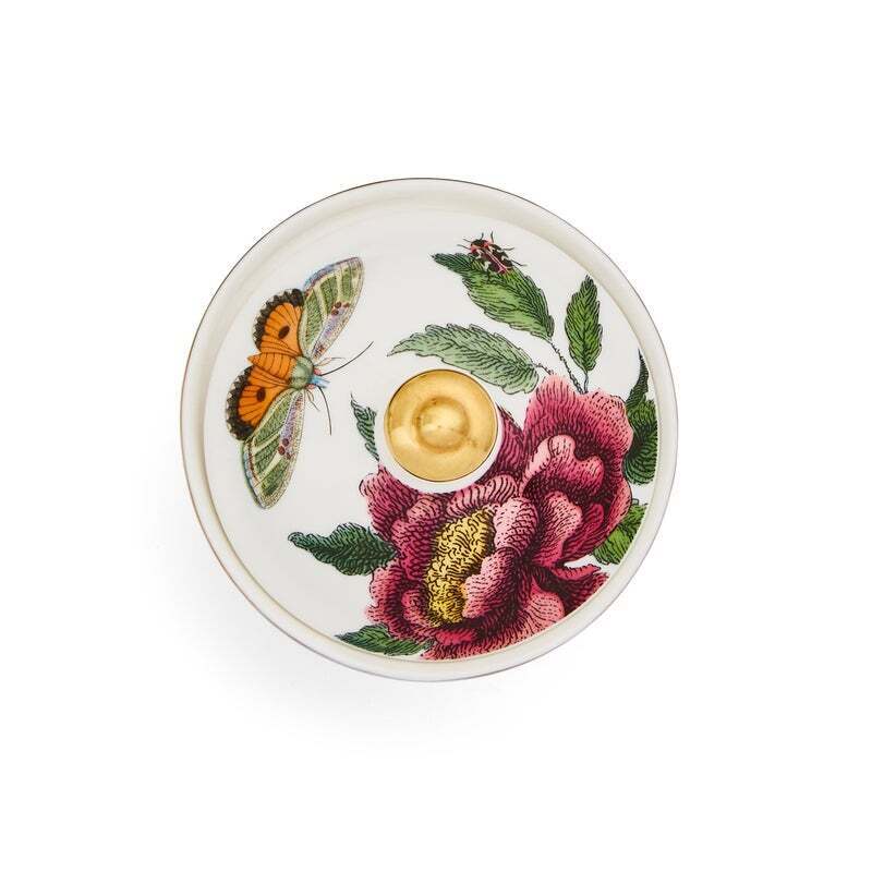 Spode Creatures Of Curiosity - Covered Sugar Bowl