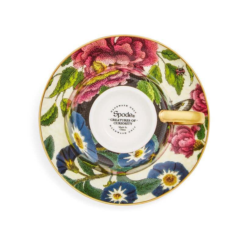 Spode Creatures Of Curiosity - Teacup & Saucer - Dark Floral