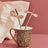 Spode Creatures Of Curiosity - Mug - Leopard Print