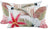 NF Living Outdoor Lumbar Cushion - Pinky-Too 30x50cm
