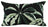 NF Living Outdoor Lumbar Cushion - Fern For You 30x50cm