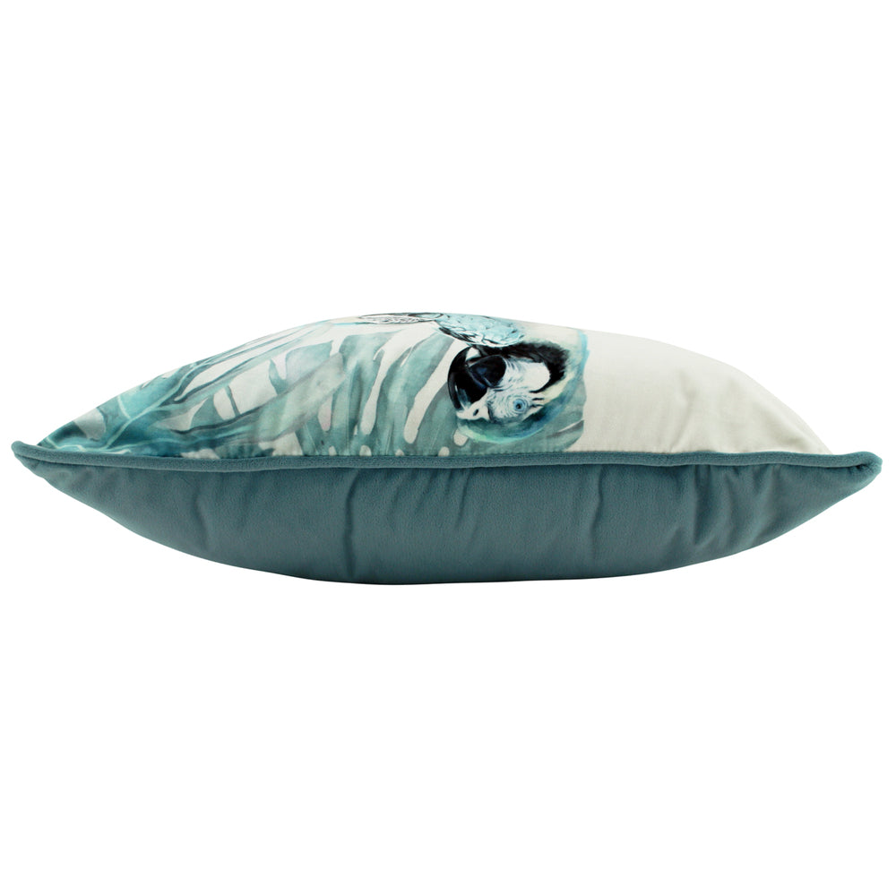 NF Living Velvet Cushion - Macaws 50x50cm