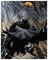 DC Comics - Batman Puzzle 1000pc