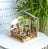 Rolife Wooden Model - DIY Miniature House Mr. Miller's Garden