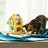 Rolife Wooden Model - DIY Miniature House Cat House