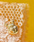 Couture Kingdom - Disney - Winnie the Pooh Necklace Yellow Gold