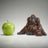 Edge Sculpture - Miniature Orangutan Set