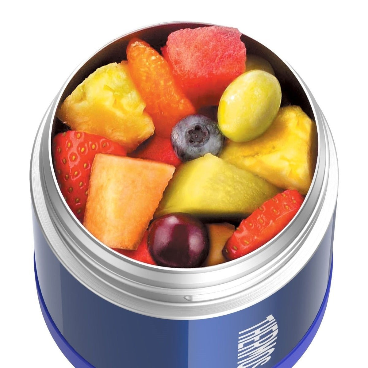 Thermos Funtainer Food Jar 290ml Blue