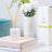 Tilley Reed Diffuser - Magnolia & Green Tea 150ml