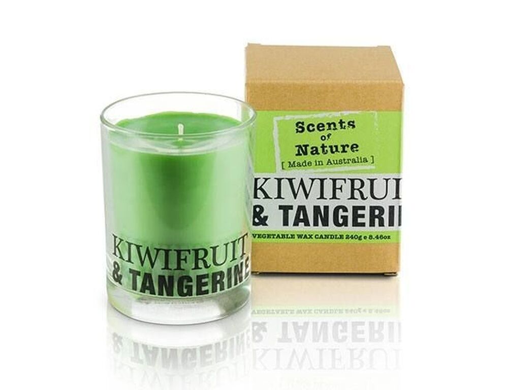 Scents of Nature by Tilley Soy Candle - Kiwifruit & Tangerine