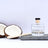 Scents of Nature by Tilley Reed Diffuser - Tropical Coconut Cream 150ml
