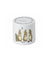 Beatrix Potter by Wedgewood - Flopsy, Mopsy And Cotton-tail Money Box