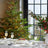 Wedgwood Winter White Set of 4 Christmas Nibble Bowls 11cm