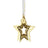 Waterford Golden 3D Star Hanging Ornament