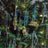 Waterford Golden Teddy Hanging Ornament
