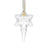 Waterford Crystal 2023 Annual Snowstar Hanging Ornament