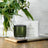 Urban Rituelle Flourish Organics Soy Candle - Lemongrass, Lemon Myrtle, Grapefruit & Eucalyptus 140gm