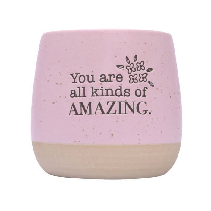 Splosh Whimsical Garden - Positive Pot Amazing