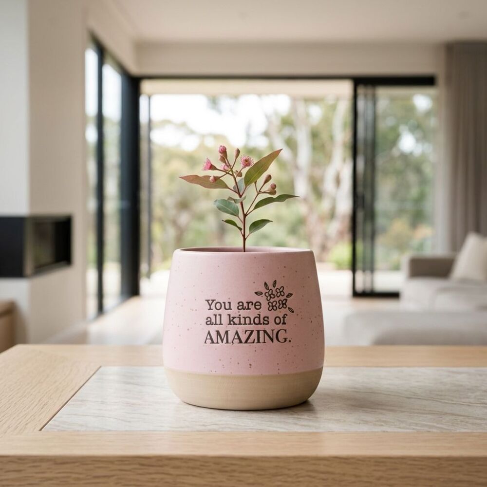 Splosh Whimsical Garden - Positive Pot Amazing