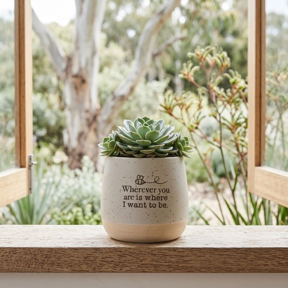 Splosh Whimsical Garden - Positive Pot Wherever