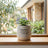 Splosh Whimsical Garden - Positive Pot Happiness