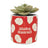 Half Moon Bay Disney - Planter - Lilo & Stitch