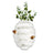 Half Moon Bay Disney - Wall Vase - Winnie The Pooh Beehive