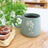 Splosh Heartfelt Mugs - Mindfulness