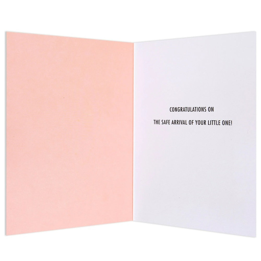 Hallmark Card - Welcome Little Princess Baby Card