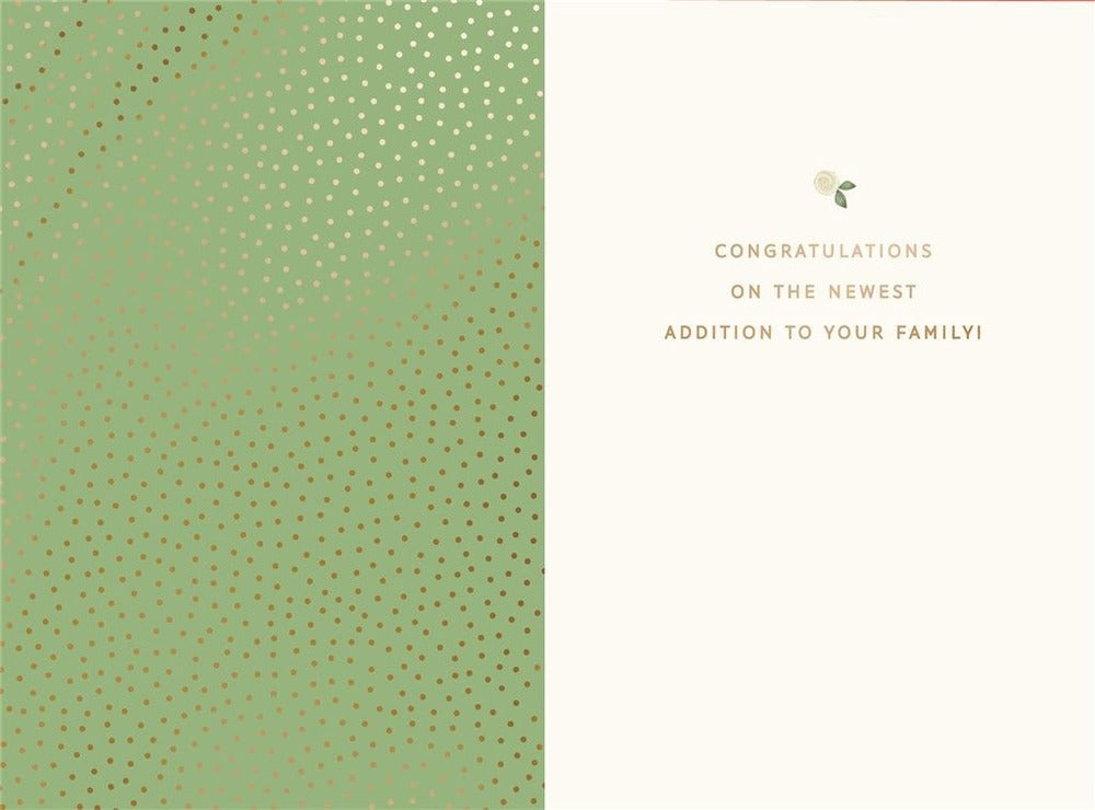 Hallmark Card - Oh Baby Card