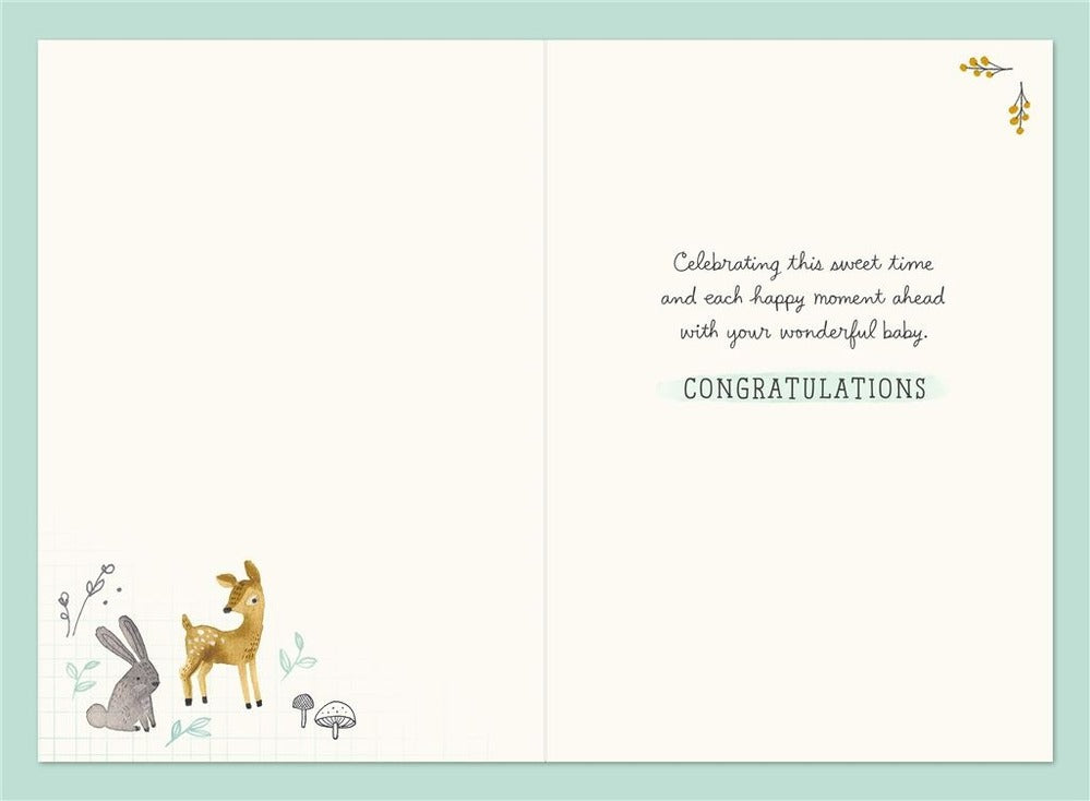 Hallmark Card - Welcome Little One Baby Card