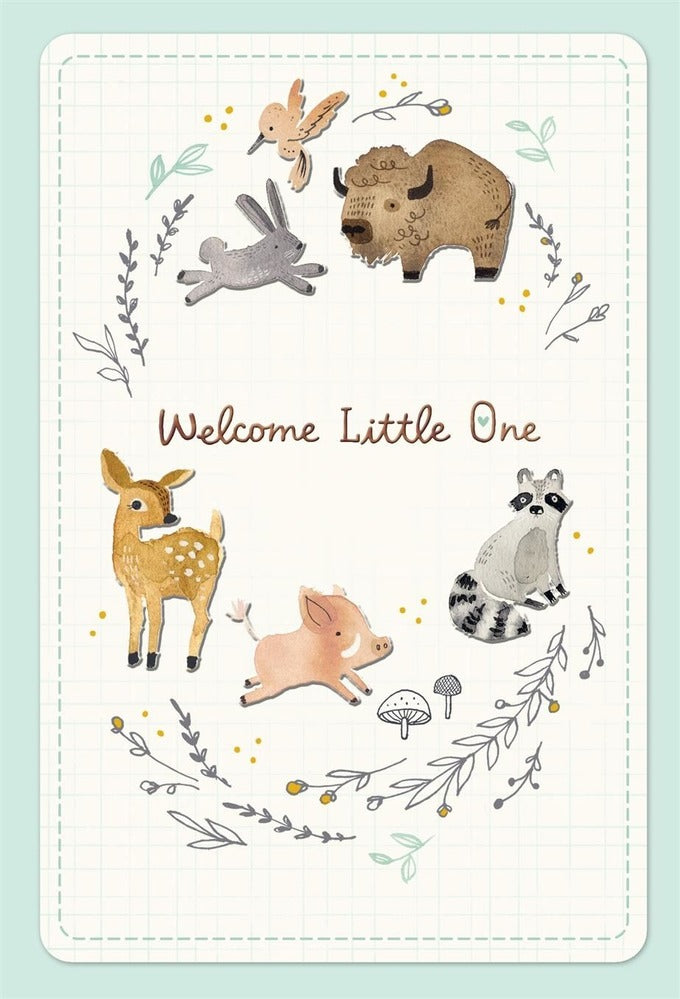 Hallmark Card - Welcome Little One Baby Card