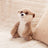 Toasty Hugs - Milo Meerkat