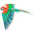 Metal Earth - 3D Metal Model Kit - ICONX Parrot Jubilee Macaw
