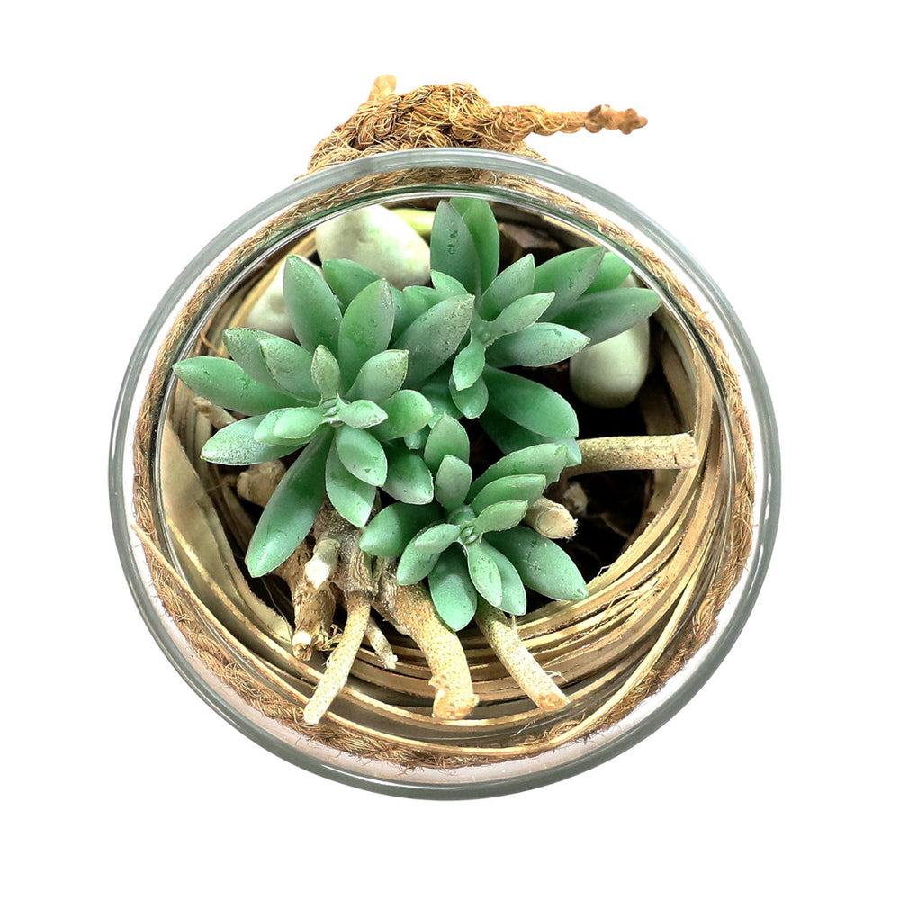 Garden Tranquil Small by Splosh - Everything