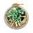 Garden Tranquil Small by Splosh - Everything