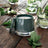THE AROMATHERAPY CO Therapy Garden Candle - Wild Mint & Lime
