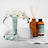 THE AROMATHERAPY CO Therapy Reed Diffuser Unwind - Coconut & Water Flower