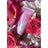 THE AROMATHERAPY CO FLWR Hand Cream - Sugared Rose