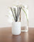 THE AROMATHERAPY CO Smith & Co Reed Diffuser - Tonka & White Musk