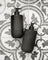 THE AROMATHERAPY CO Smith & Co Hand & Body Wash - Tabac & Cedarwood
