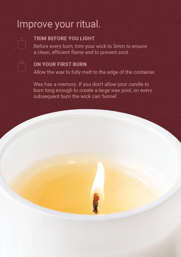 THE AROMATHERAPY CO Naturals Candle - Santal & Vanilla Orchid