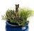 Jardinopia Cane Companion - Antique Bronze Fairy Sitting On Tree Stump