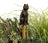 Jardinopia Cane Companion - Antique Bronze Cat